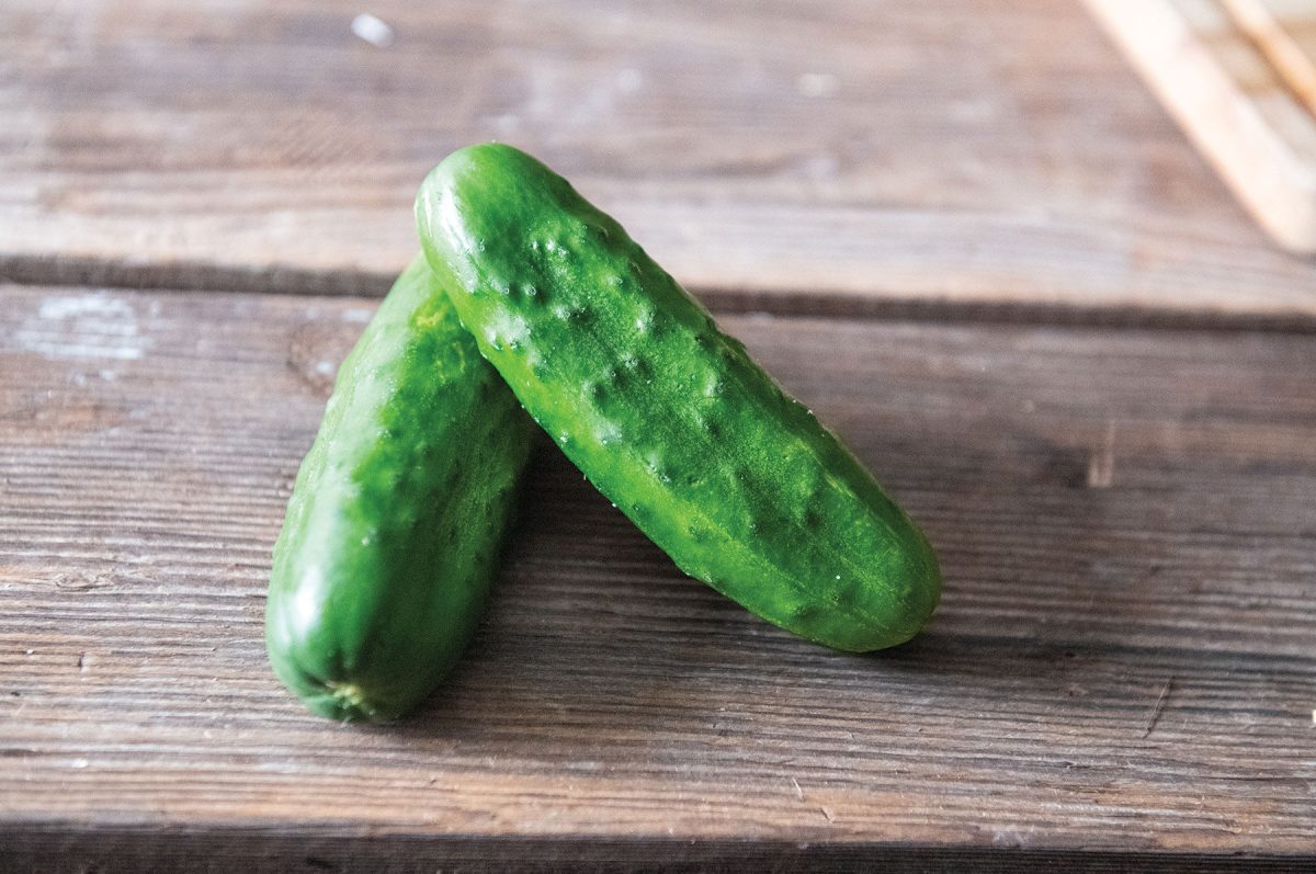 Chaperon – Cucumber Seed